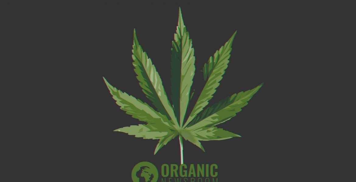 CBD Oil Anxiety Depression Anchor Point 
      AK 99556